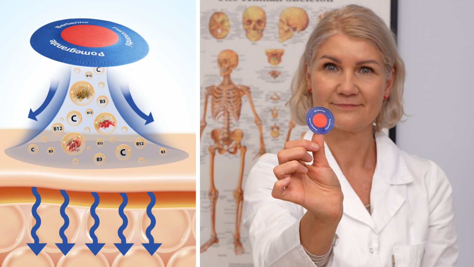 Berberine transdermal patch technology