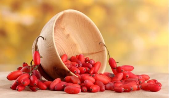 Berberine Extract